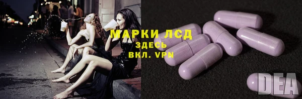 тгк Инсар