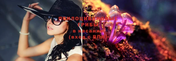 эйфоретик Инта