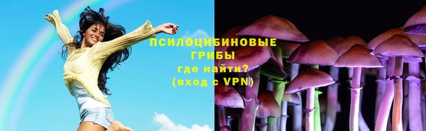 PSILOCYBIN Касимов