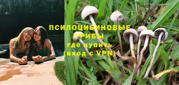 стафф Грязовец