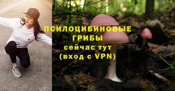 мдпв Карталы