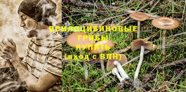 PSILOCYBIN Касимов