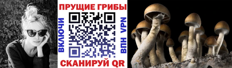 Галлюциногенные грибы Cubensis  наркота  Костомукша 