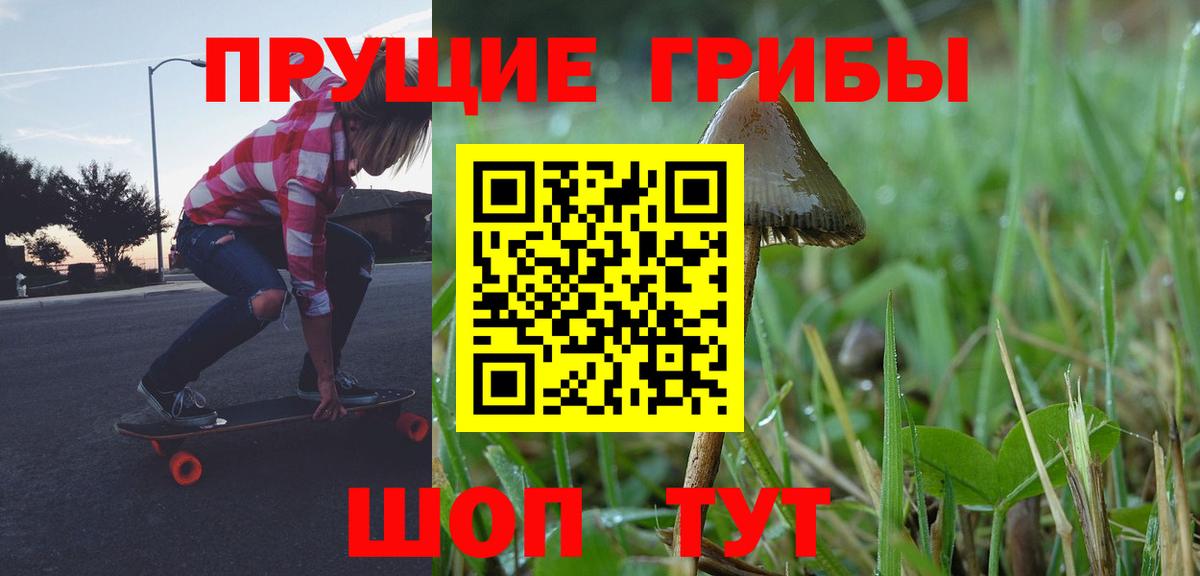 Костомукша  Галлюциногенные грибы Psilocybe  Вход с VPN 