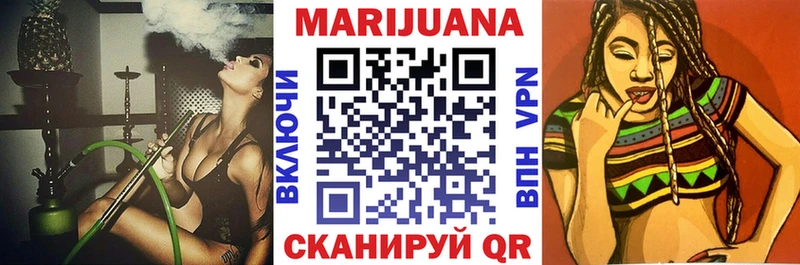 где купить наркотик  Костомукша  Канабис сатива 